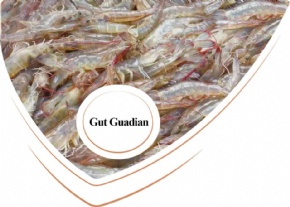 Gut Guardian