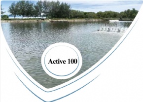 Activate 100
