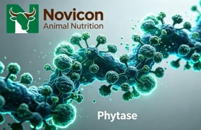 NoviPhos Pro-Premium Heat-stable Granular Phytase